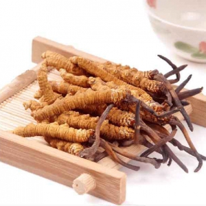 冬虫夏草怎样搭配才更加有效果